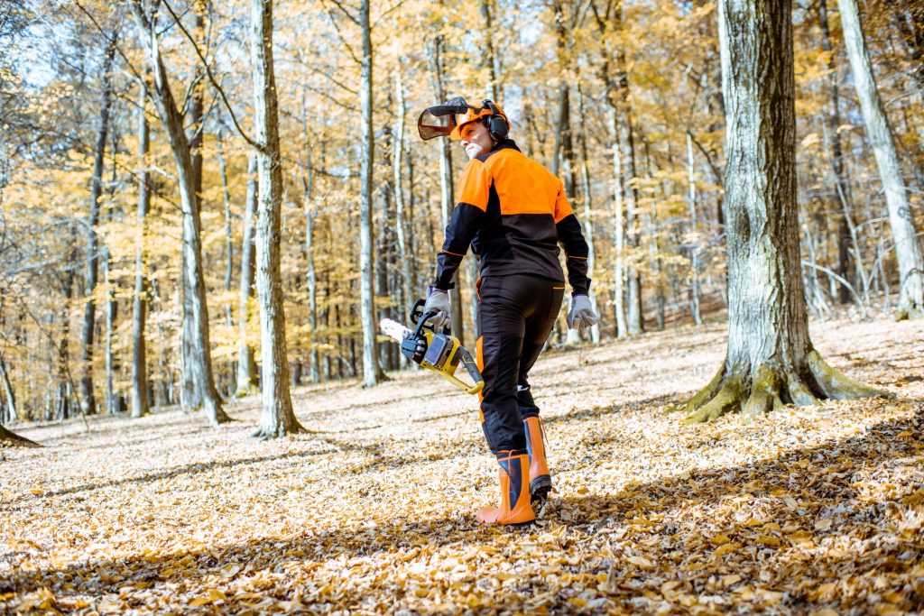 Professional lumberjack in the forest